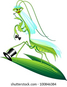 Illustration of a female praying mantis after she ate the male