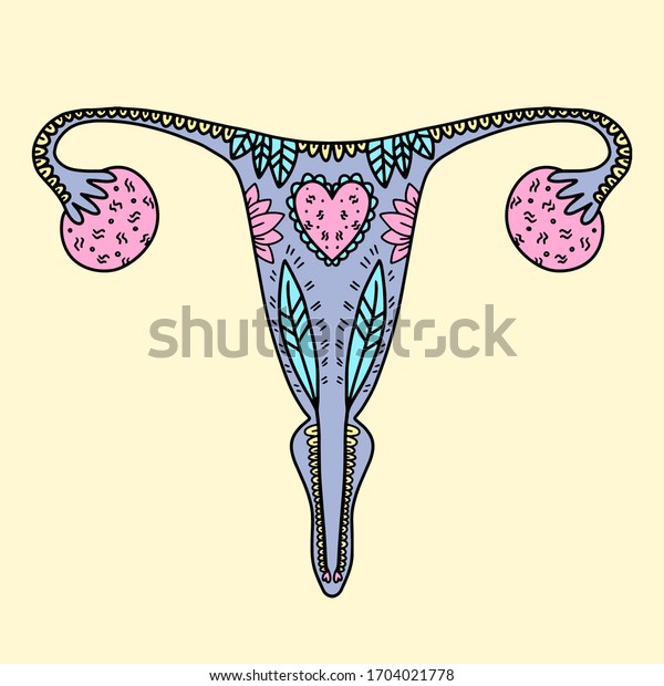 Illustration Female Reproductive System Doodle Illustration Stock Vector Royalty Free 1704021778