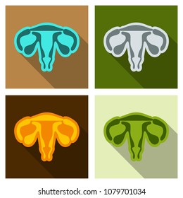 Illustration of female reproductive system. Human anatomy in flat style with shadow