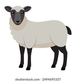 Illustration of Female Suffolk sheep isolated