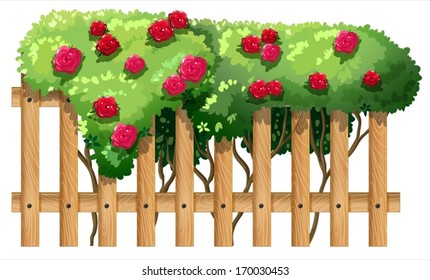 Illustration of a fence with flowering plants on a white background