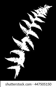 illustration with fern silhouette isolated on black background