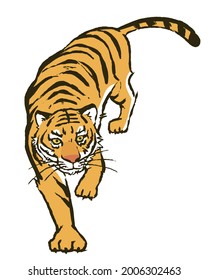 Illustration of a ferocious tiger. Vector illustration on white background.