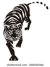  Illustration of a ferocious tiger. Vector illustration on white background.