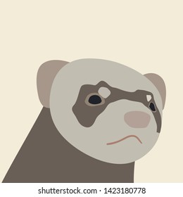 Illustration of ferret head in flat style.  character, can be used like sticker or printing