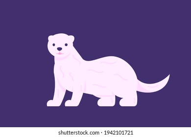 illustration of ferret, mink, ermina in white which is funny, cute, and adorable. flat style. vector animal design