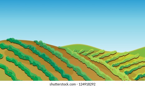 Illustration of a fertile land with growing plants