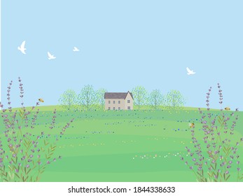 Illustration of a field of flowers.  spring and summer view.