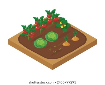 Illustration of a field growing vegetables_Isometric