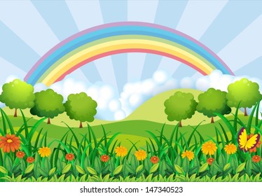 Illustration of the field and the rainbow