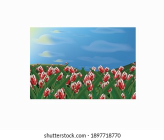 
illustration of a field of red and white tulips, blue sky with clouds