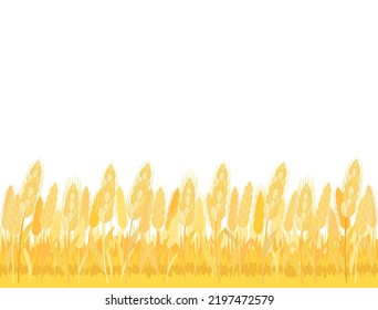 Illustration of a field of wheat.