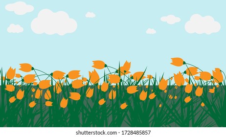 Ilustración de un campo con flores amarillas. Imagen vectorial, eps 10