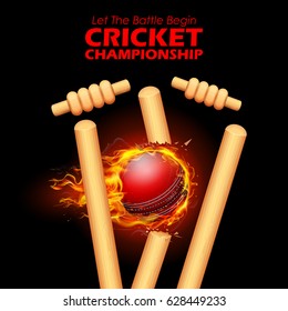 illustration of Fiery ball breaking the stumps for Cricket Championship