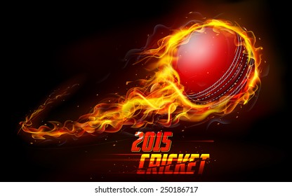 illustration of fiery cricket ball in abstract background