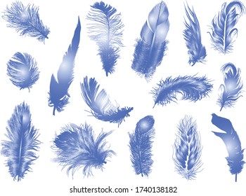 illustration with fifteen feathers isolated on white background