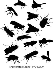 illustration with fifteen fly silhouettes isolated on white