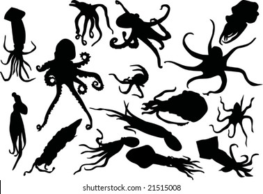 illustration with fifteen squid and octopus silhouettes