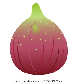 Illustration of the fig