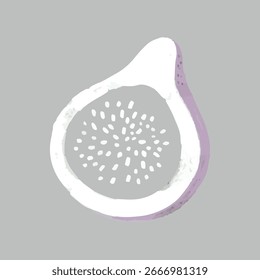 Illustration of a fig slice on a gray background. The fig slice shows seeds and a textured surface. Fig slice art with a minimalist style. Fig slice illustration. Doodle illustration vector.