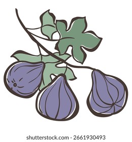 Ilustración del gráfico del Vector de la figura en el fondo blanco