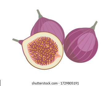 Illustration of figs. Exotic fruit.