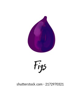 Illustration of a figs isolated on a white background