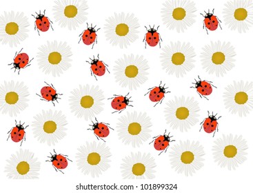 illustration with fine chamomiles and red bugs background