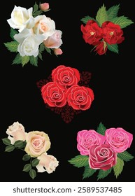 illustration with fine roses isolated on black background