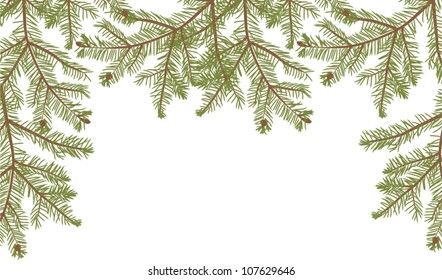 illustration with fir branches isolated on white background
