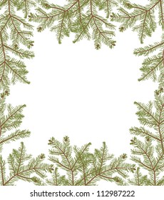 illustration with fir branches isolated on white background