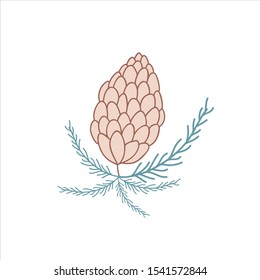 Illustration of a fir cone. Vector color hand drawn illustration.