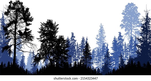 ilustración con siluetas de bosque de abetos