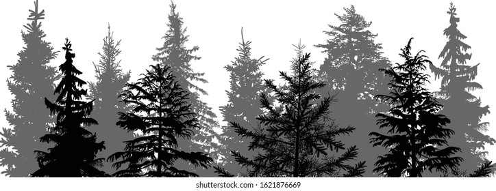 Illustration Fir Forest Silhouettes Isolated On Stock Vector (Royalty ...