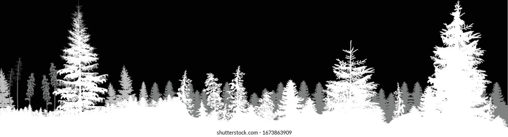 illustration with fir forest silhouettes isolated on black background