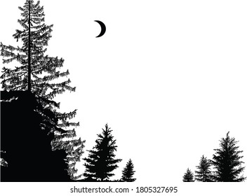 illustration with fir forest silhouettes isolated on white background