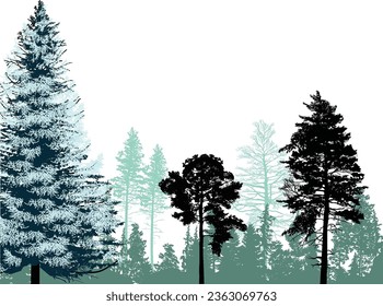 illustration with fir forest silhouettes isolated on white background