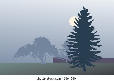 illustration with fir in mist