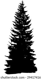 illustration with fir silhouette isolated on white background