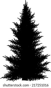 illustration with fir tree isolated on white background