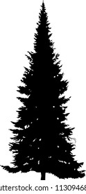 illustration with fir tree silhouette isolated on white background