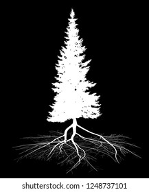 illustration with fir tree silhouette isolated on black background