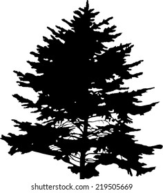 Illustration Fir Tree Silhouette Isolated On Stock Vector (Royalty Free ...