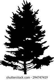 Illustration Fir Tree Silhouette Isolated On Stock Vector (Royalty Free ...