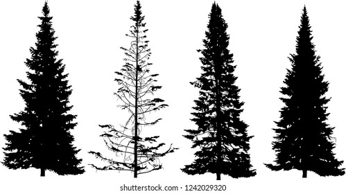 illustration with fir tree silhouettes isolated on white background