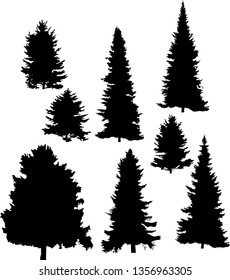 illustration with fir tree silhouettes isolated on white background
