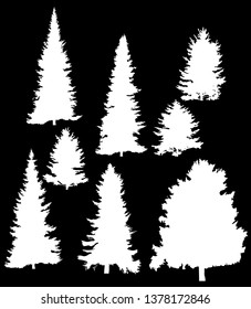 illustration with fir tree silhouettes isolated on black background