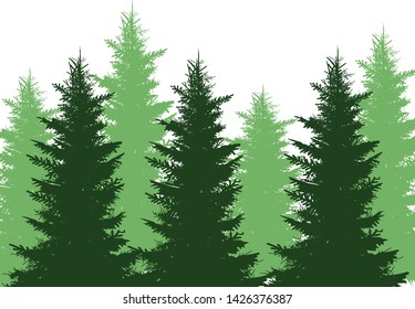 illustration with fir trees forest isolated on white background