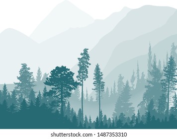 illustration with fir trees forest isolated on white background