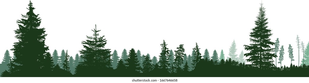 illustration with fir trees forest isolated on white background